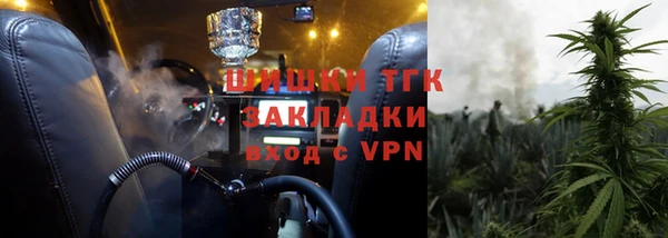 PSILOCYBIN Аркадак