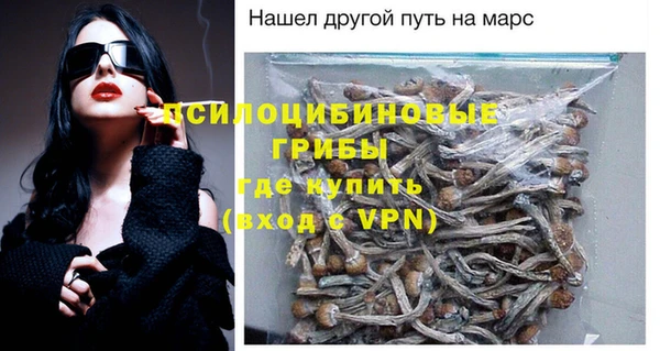 бошки Арсеньев