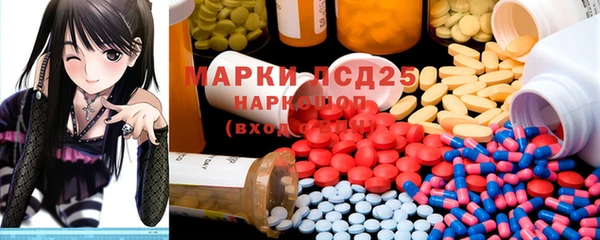 PSILOCYBIN Аркадак