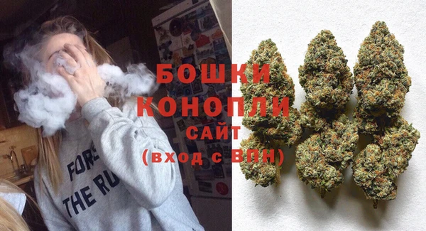 молекула духа Няндома