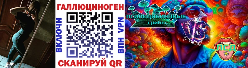 где можно купить   Лесной  Галлюциногенные грибы Magic Shrooms 