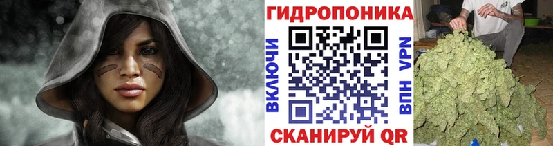 магазин продажи наркотиков  Лесной  Канабис Amnesia 