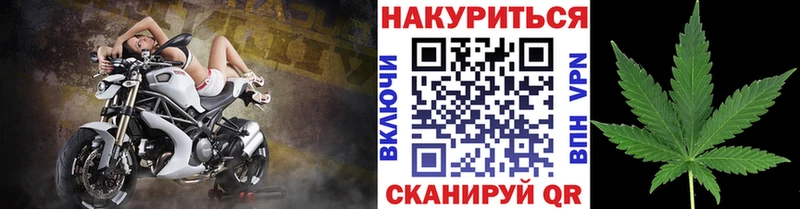 Канабис конопля Лесной